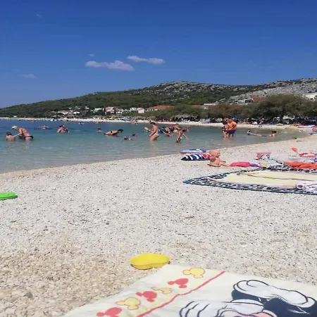 Vesna Seget Vranjica